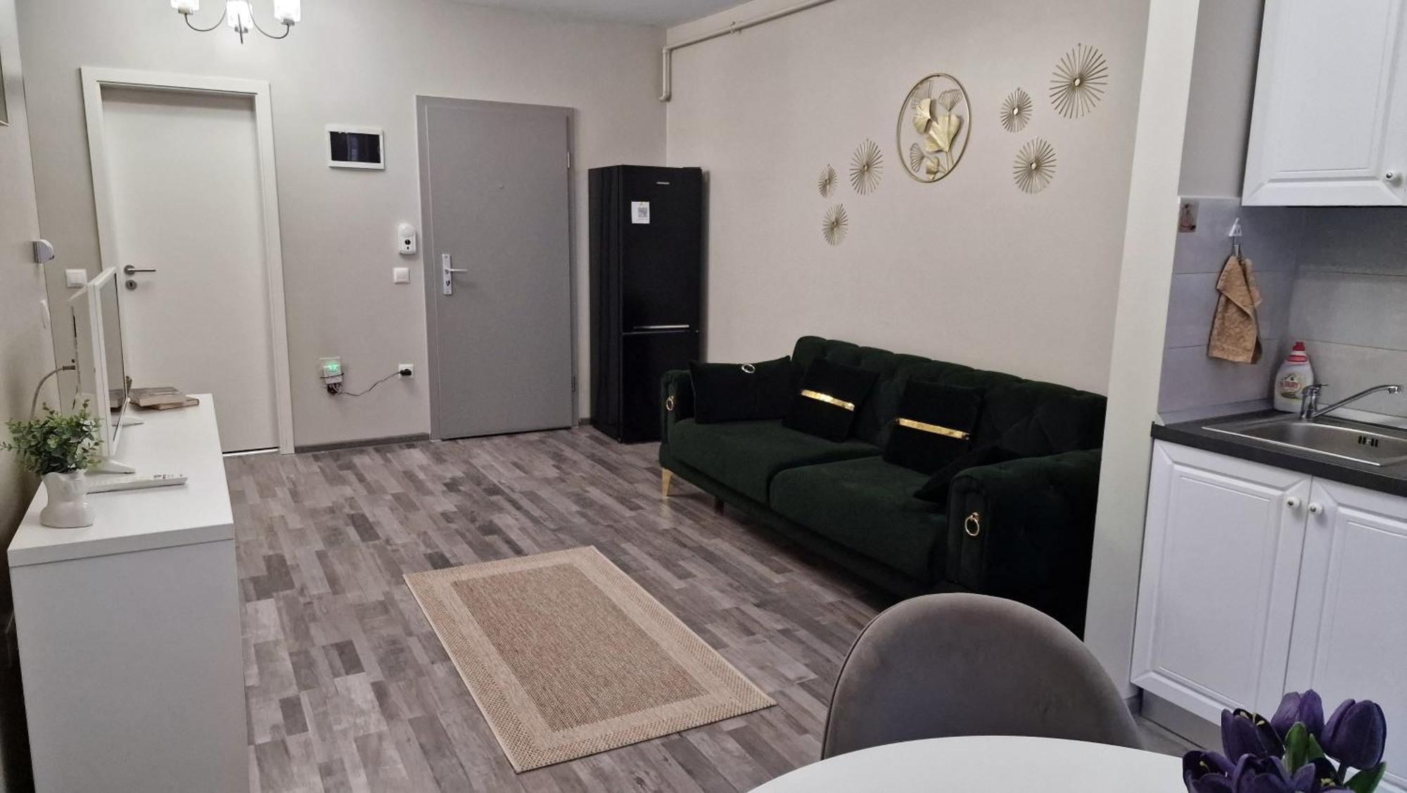 Sophia Home 1 Braşov Extérieur photo